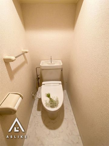 ��t�����ˎs�����{ �̒��Ã}���V�����̃g�C��