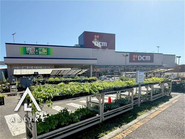 ��t�����ˎs���ːV�c �̒��Ã}���V�����̂��̑�