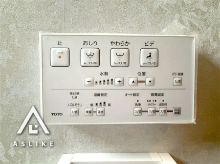 ��t�����s�L�Z4���ڂ̒��È�ˌ��Ẵg�C��