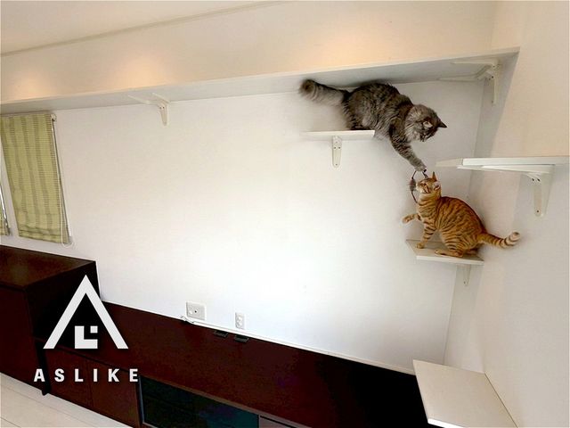 ��t�����ˎs�����5���ڂ̒��È�ˌ��Ẵ��r���O