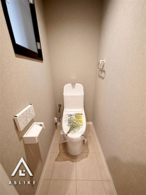 ��t�����s���P�� �̒��Ã}���V�����̃g�C��