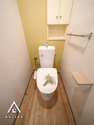 ��t�����s�����V�h2���ڂ̒��Ã}���V�����̃g�C��