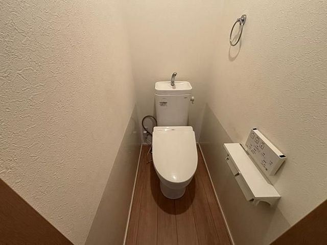 ��t�����s���ēc �̒��È�ˌ��Ă̂��̑�����